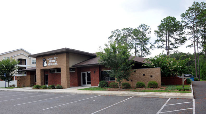 Azalea City Animal Hospital